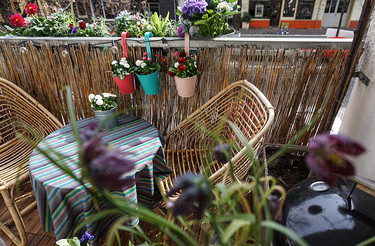 balcony with table, chairs and plants