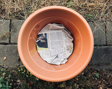 Newspaper used in pot