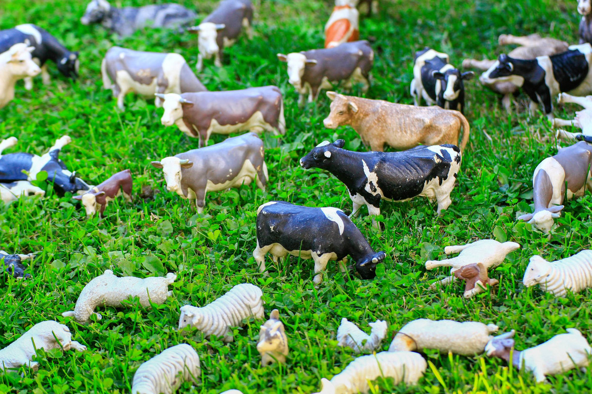 Schleich-Tiere wie Kühe und Schafe auf einer Wiese