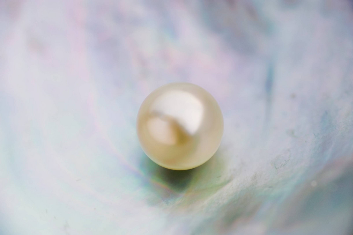 Perle in Perlmuttschale