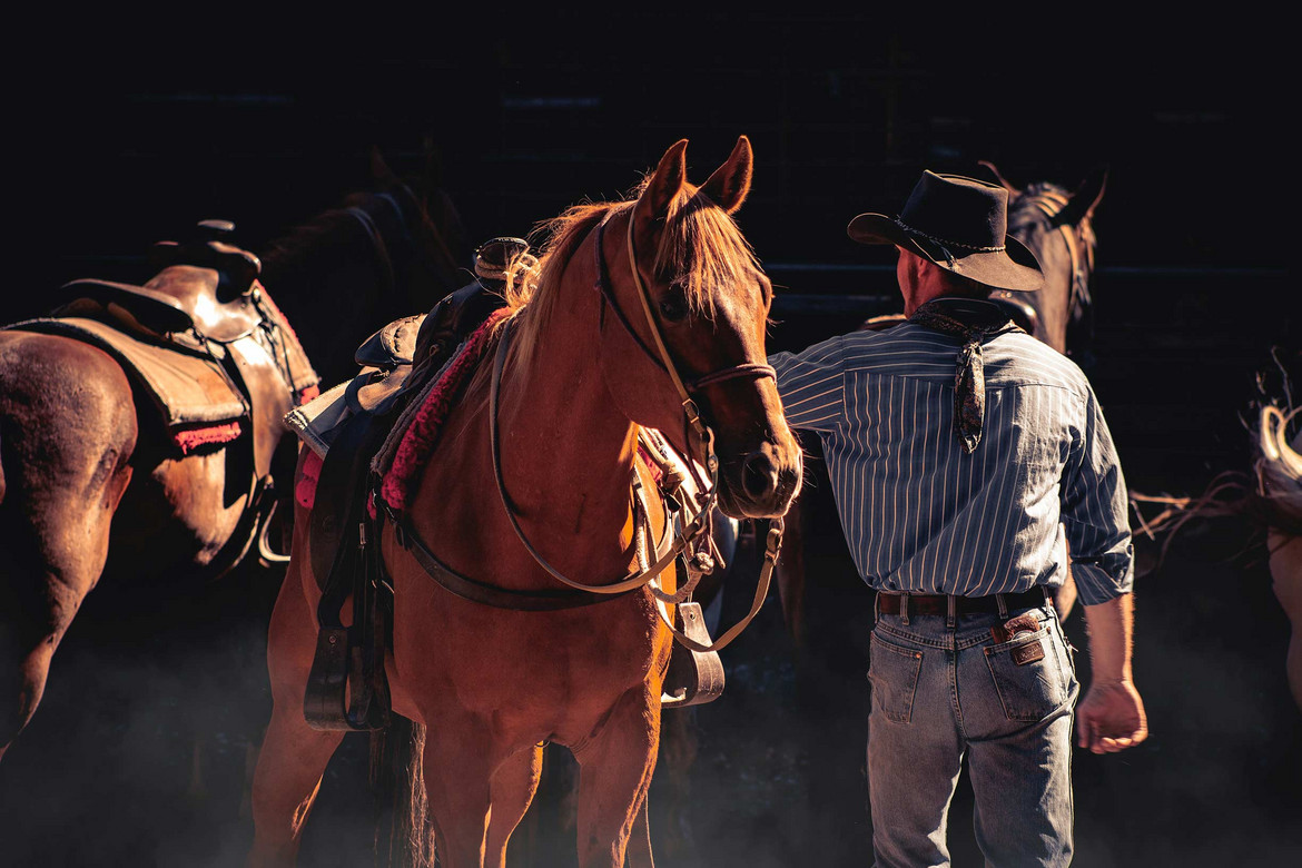 Ein Bild eines Cowboys und eines Pferds mit Westernsattel